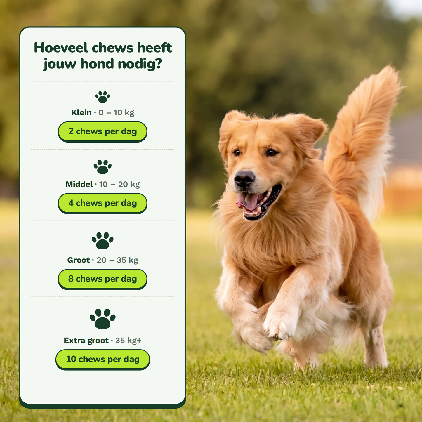Hip & Joint Chews