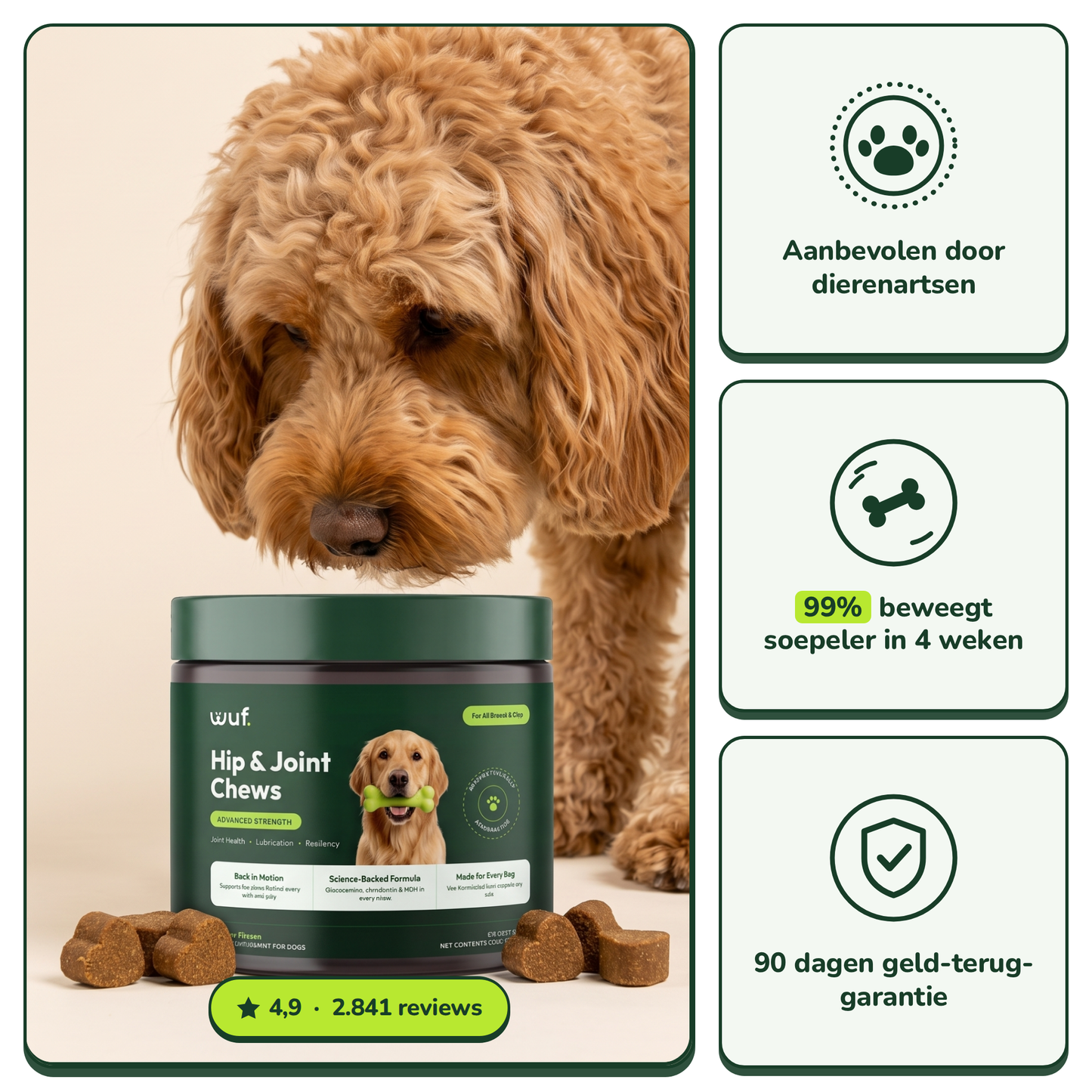 Hip & Joint Chews