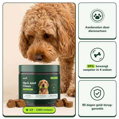 Hip & Joint Chews