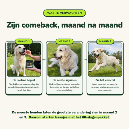Hip & Joint Chews