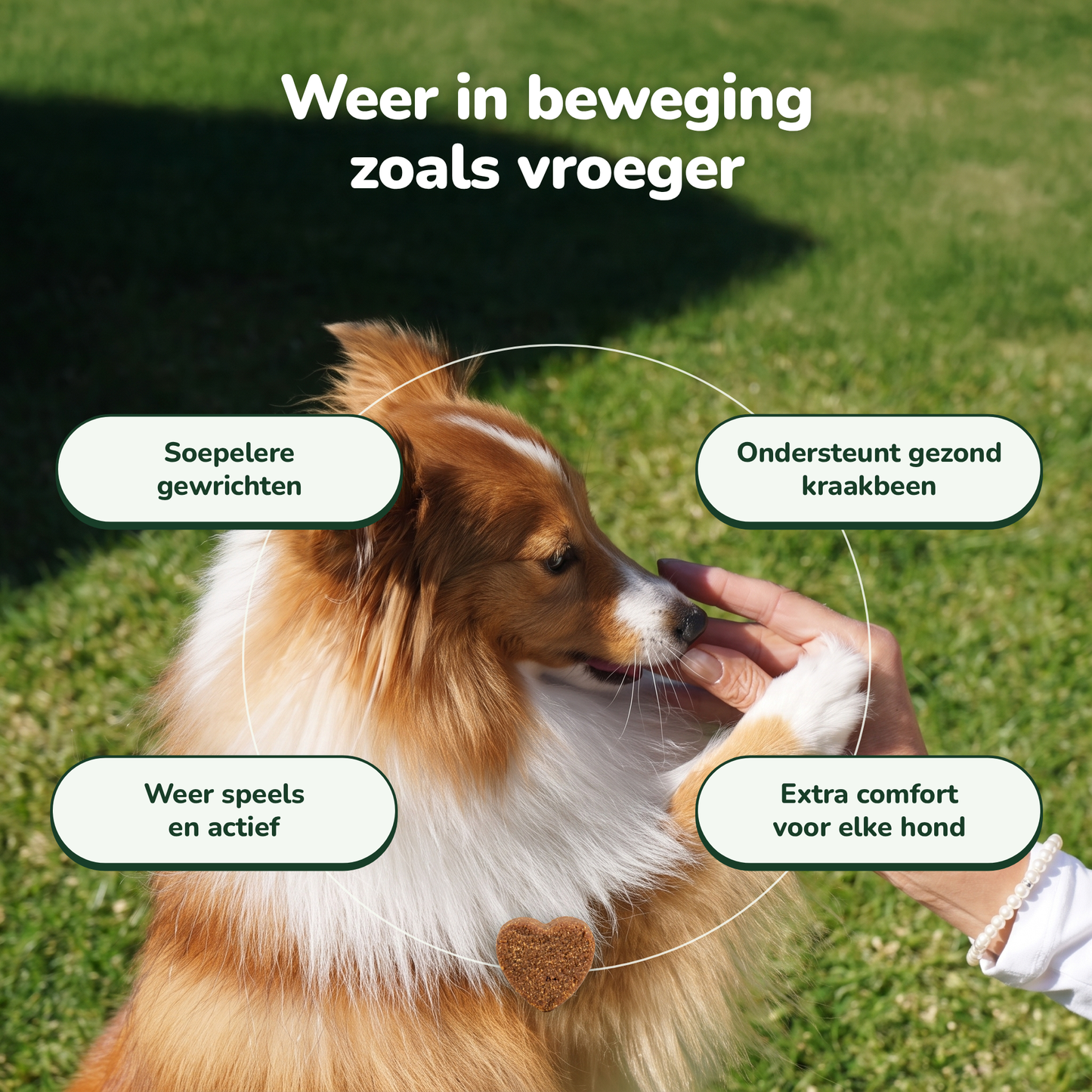 Hip & Joint Chews